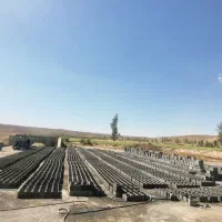 نیازمند اکیپ  بلوک زن و بارگیری