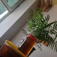 عسل با موم ، از دل کوهستان به سفره های پر مهر شما|خوردنی و آشامیدنی|شیراز, شهرک ولیعصر|دیوار