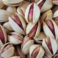 پسته تازه امسال|خوردنی و آشامیدنی|سروستان, |دیوار