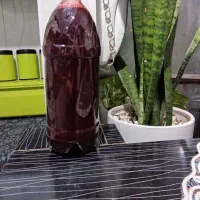 اب زرشک کوهی