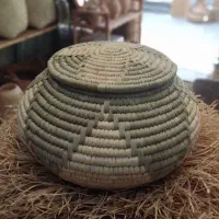 جابرنجی و جاحبوبات