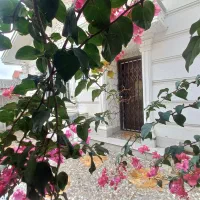 فروش ویلای ۲۲۰ متری صفر روبروی انزل مال ساحلی