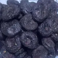 محصولات بیومتیک اصلی