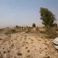 زمین-باغی