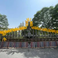 علامت ۲۳تیغه خوش دست با شال و پر کامل
