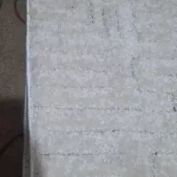 پادری پشمالویی جنس عالی