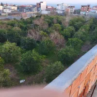 زمین سه بر کله بست ، بر بلوار روحانی