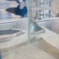 ماهی فایتر|ماهی|جم, |دیوار