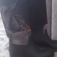 کفش اسب سواری|اسب و تجهیزات اسب‌سواری|سنندج, |دیوار