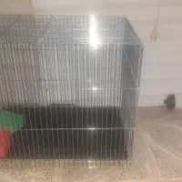 قفس پرنده