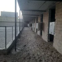 اجاره اصطبل اسب جهت باشگاه و پرورش اسب