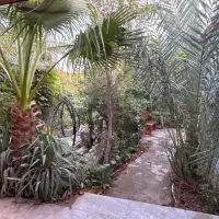 اجراره باغ استخر آب گرم|اجارهٔ کوتاه‌مدت ویلا و باغ|بهبهان, |دیوار