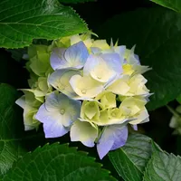 کارگر ساده جهت کار در انبار