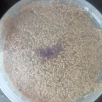 محصولات ارگانیک و طبیعی|خوردنی و آشامیدنی|تهران, بهارستان|دیوار