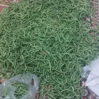 لوبیا سبز ارسال رایگان