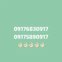 09175200917|سیم‌کارت|شیراز, شهرک مدرس|دیوار