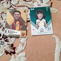 یک عدد کارت ۱۰۰ ۲۰۲۶ ویک عدد کارت بیسیک۲۰۲۶