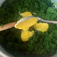 دلال ماست و نازخاتون وسبزی ماهی و قرمه و مرغ ترش|خوردنی و آشامیدنی|گتاب, |دیوار