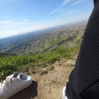 جو محلی درجه یک