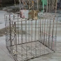 قفس|لوازم جانبی حیوانات|لیلان, |دیوار