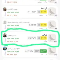 کبوتر کفتر ماده مسافتی پلاکی جی پی اس دار|پرنده|مشگین شهر, |دیوار