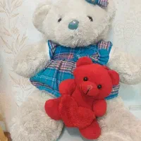 عروسک خرسی بزرگ|اسباب‌بازی بچه|مشهد, حجاب (شهرک غرب)|دیوار