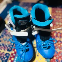 اسکیت حرفه ای