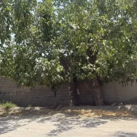 زمین-چهاردیوار-1000متر-شهریار-کهنز