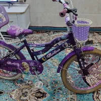 دوچرخه 20 دوخترونه در حد نو|دوچرخه، اسکیت، اسکوتر|شیراز, پودنک|دیوار