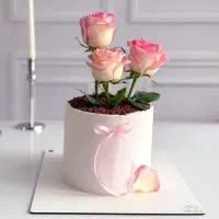 کیک روز مادر و شب یلدا|خوردنی و آشامیدنی|بیرجند, |دیوار