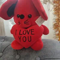 عروسک زیبا|اسباب‌‌بازی|گرگان, |دیوار