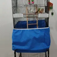 فروش طوطی|پرنده|اصفهان, کوی امیریه|دیوار