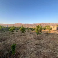 فروش باغچه خان زنیان دهنو قلندری|فروش زمین و ملک کلنگی|ارژن, |دیوار