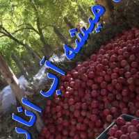 تضمین کیفیت|خوردنی و آشامیدنی|شیراز, شهرک مدرس|دیوار