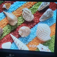 مانیتور ال جی ۲۲ اینچ