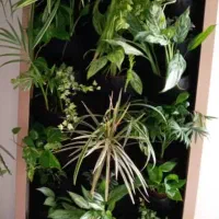 دیوار سبز گرین وال  هوشمند|خدمات پیشه و مهارت|تهران, شهرک کوهسار|دیوار