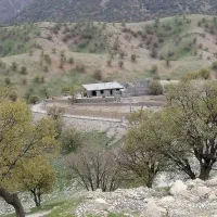 شراکت یا فروش طرح