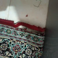 گلیم . فرش|گلیم، جاجیم، گبه|مشهد, گلبرگ شمالی|دیوار