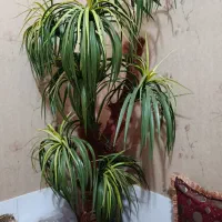 درخت مصنوعی نخل