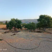 باغشهری ۲۸۰۰ متر سیاخ دارنگون باسند ملکی|فروش زمین و ملک کلنگی|سیاخ دارنگون, |دیوار