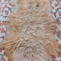 پشم چرم طبیعی