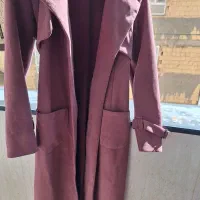 پالتوبلندسوییت