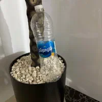 بطری آب معدنی