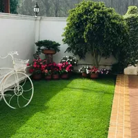 پخش و فروش جزیی چمن