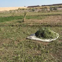 نقد-معاوضه-با-خاتم-زمین