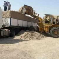 کاه گندم رفت کاه نیشکر آمده برداشت ۴۰۴|عمده‌فروشی|کرمانشاه, |دیوار