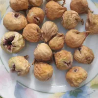 انجیر بش و بادام درجه یک نیمه کاغذی|خوردنی و آشامیدنی|شیراز, شهرک مخابرات|دیوار