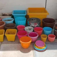 گلدان پلاستیکی