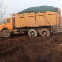 کود حیوانی|خدمات باغبانی و درختکاری|رشت, لاکان|دیوار