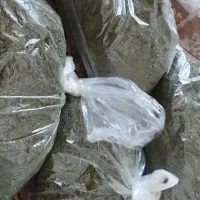 تخمه.لواشک خانگی.نعناادامسی.خلال بادام|خوردنی و آشامیدنی|تهران, شهرک دانشگاه|دیوار
